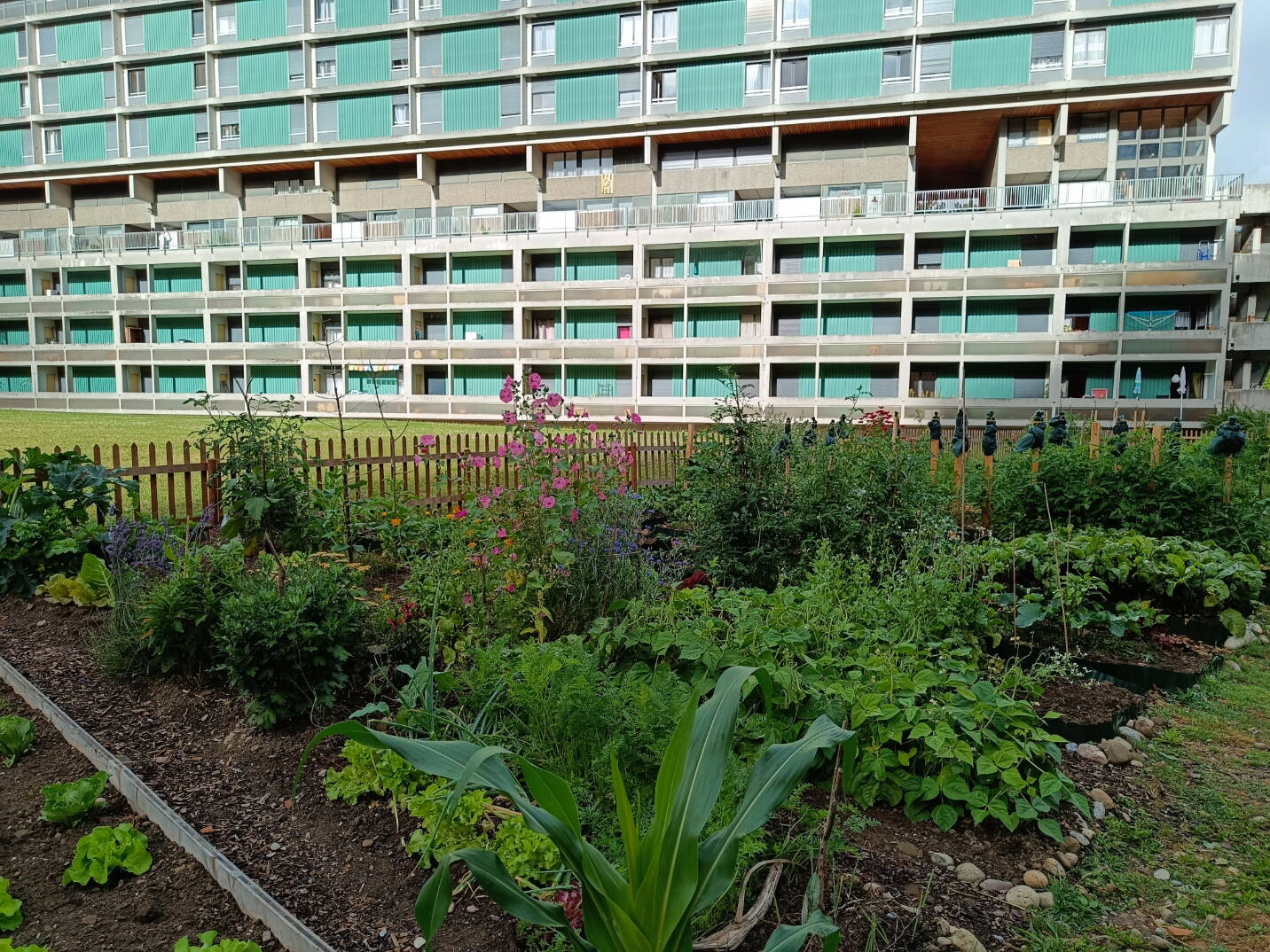 Nachbarschaftsgarten 2.jpg Nachbarschaftsgarten 2.jpg