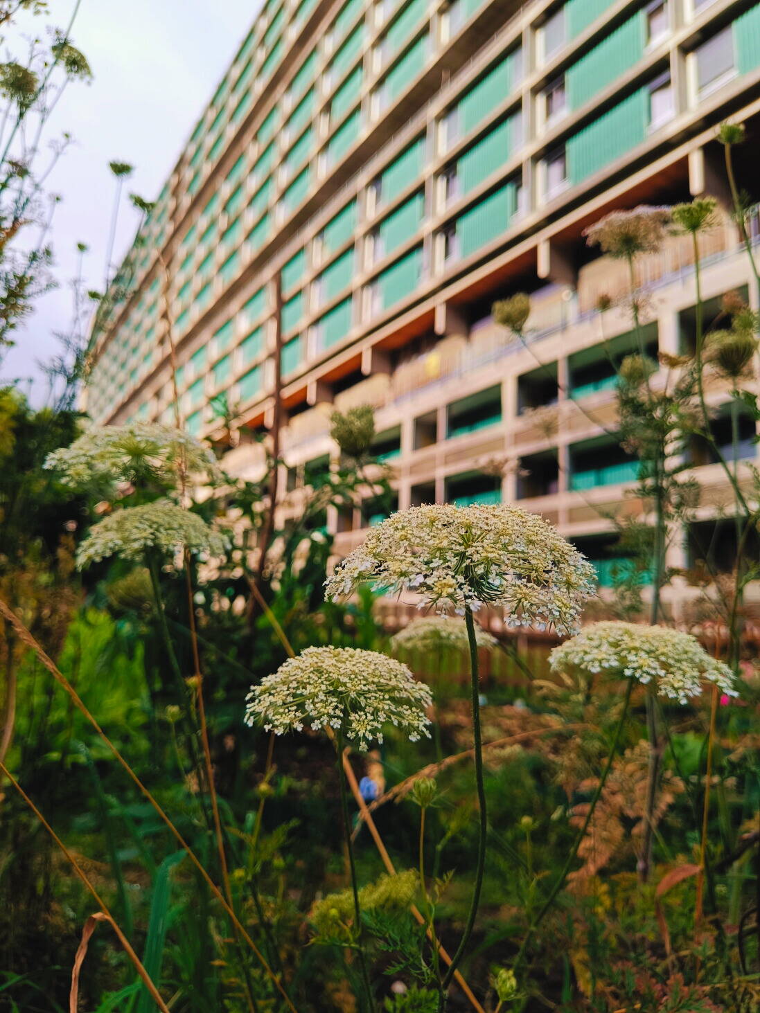 Nachbarschaftsgarten 1.jpg Nachbarschaftsgarten 1.jpg