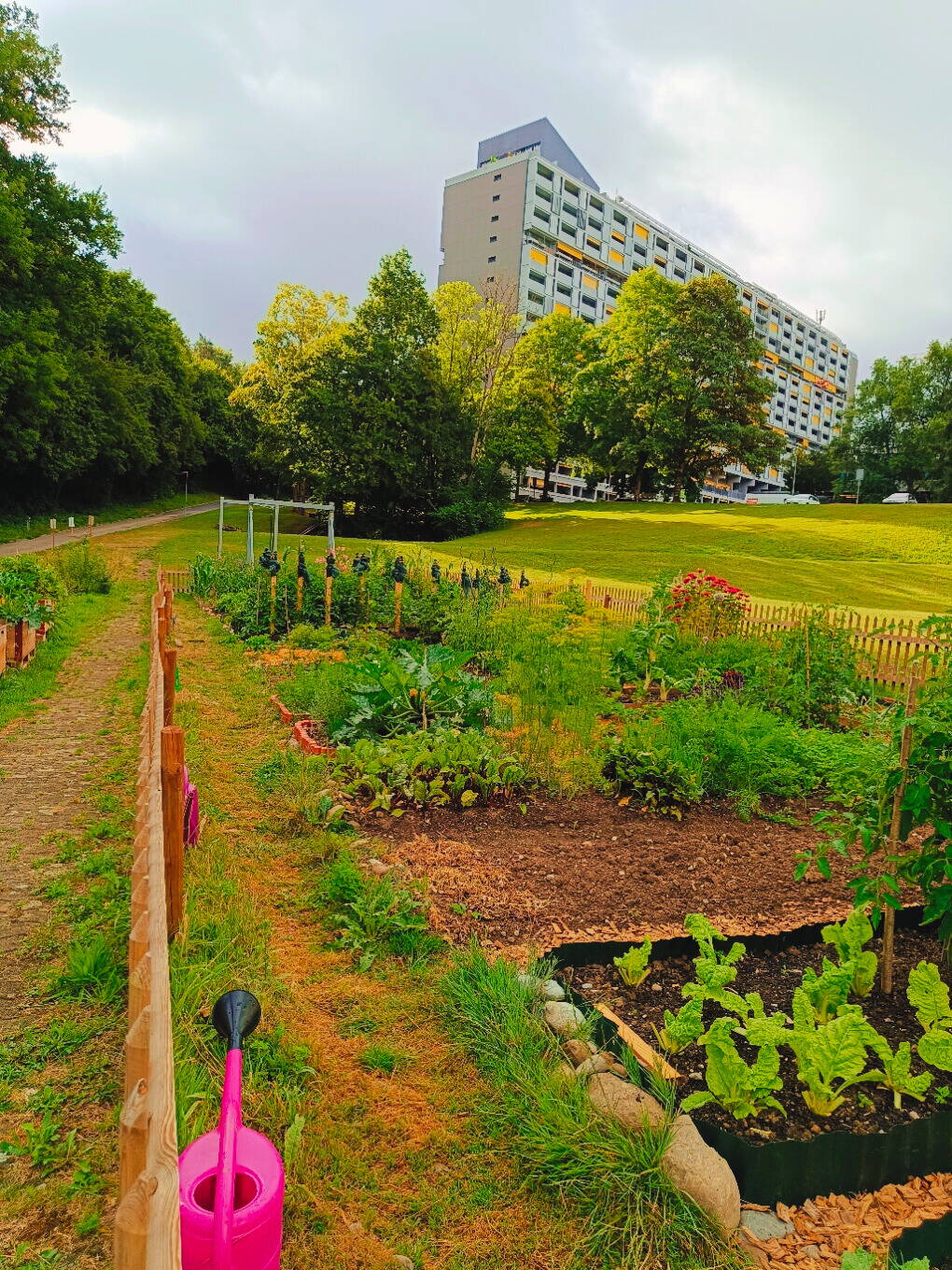 garten_3.jpg garten_3.jpg